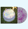 PRE ORDER: "Are We Still Having Fun" Vinyl